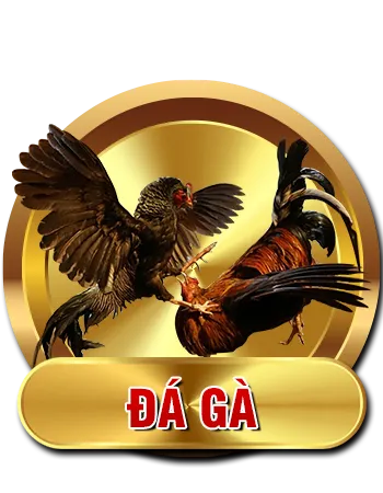 HI678 16 cock vn